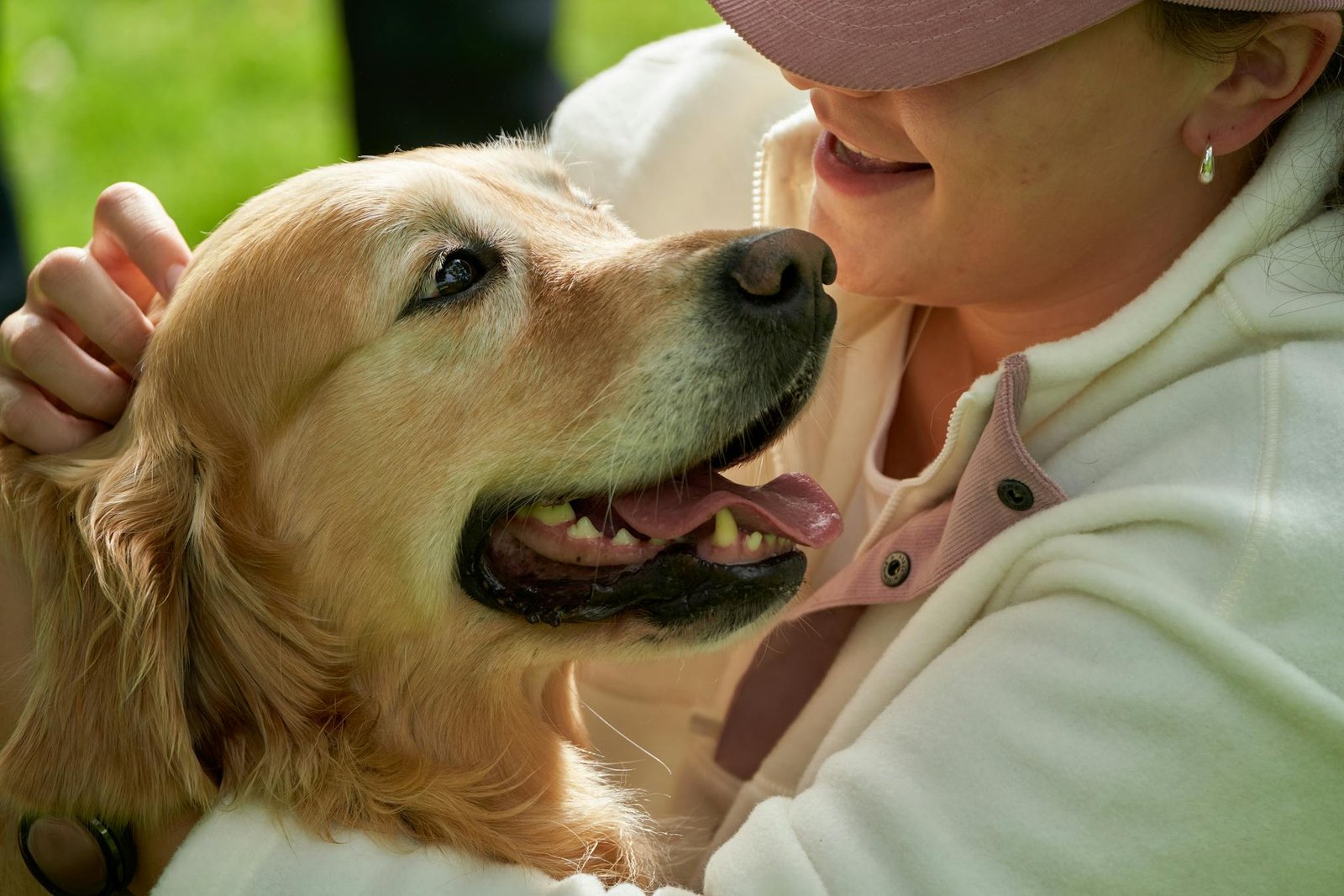 Laço alegre entre menina jovem e golden retriever em momento de felicidade
