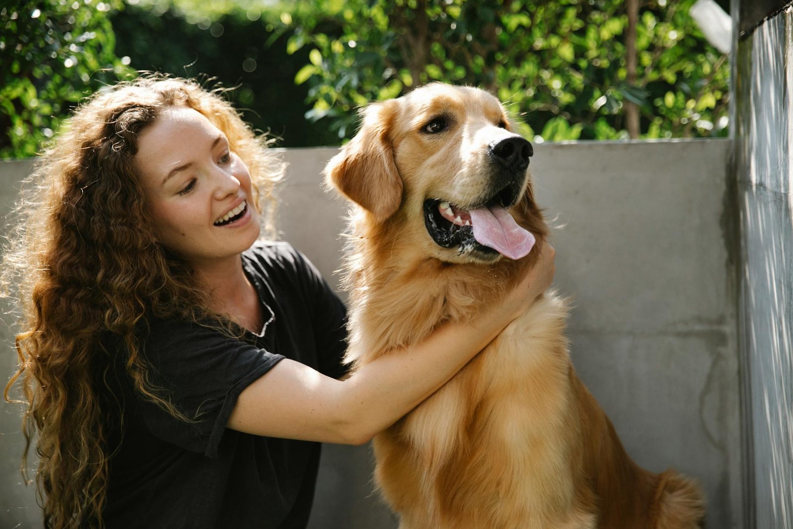 Mulher adulta positiva acariciando cão Golden Retriever fofo ao ar livre em dia de verão ensolarado