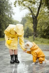 Mulher e cachorro com capas de chuva amarelas combinando caminhando no parque em dia chuvoso