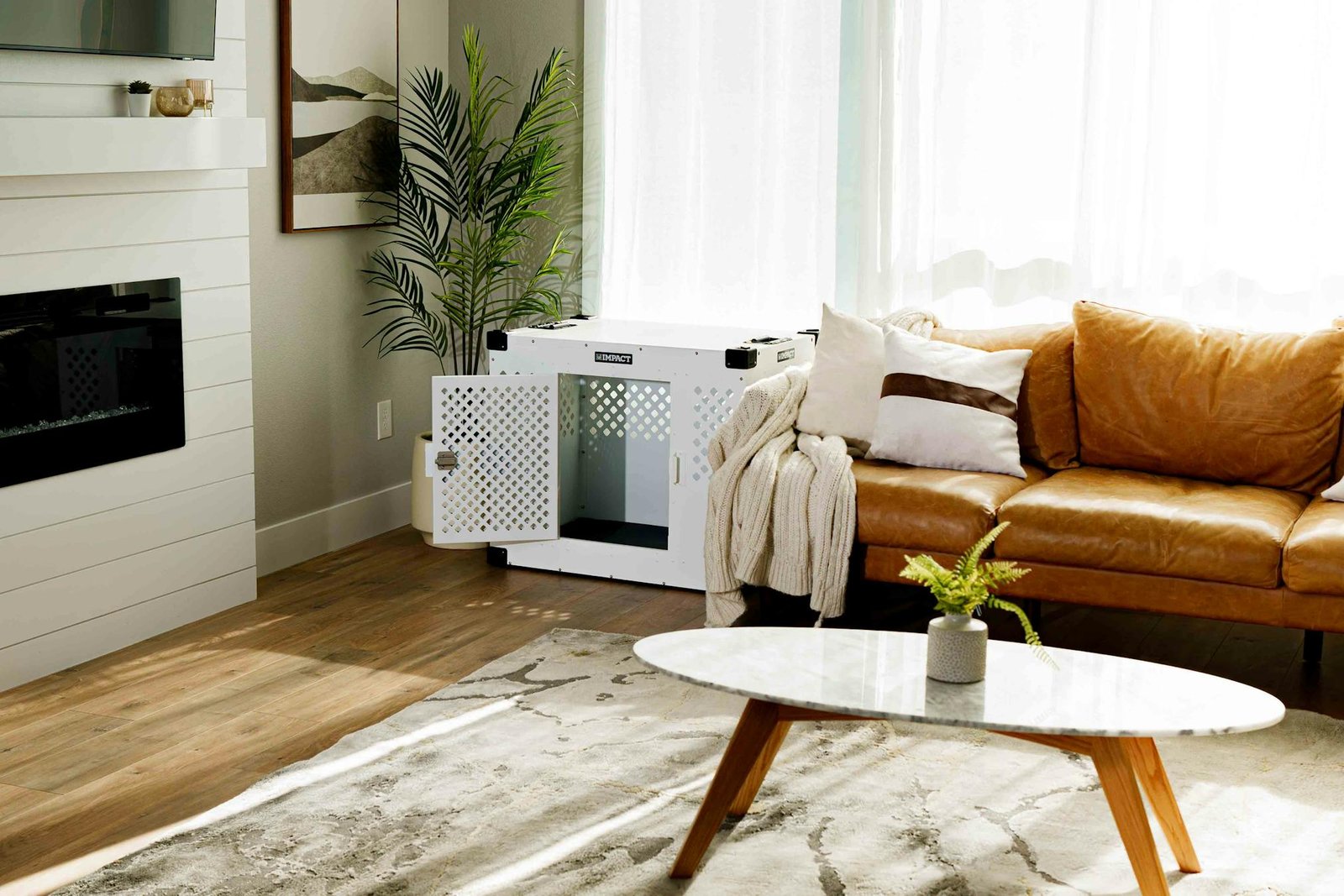 Sala de estar moderna com caixa para cachorro, sofá de couro marrom e iluminação natural