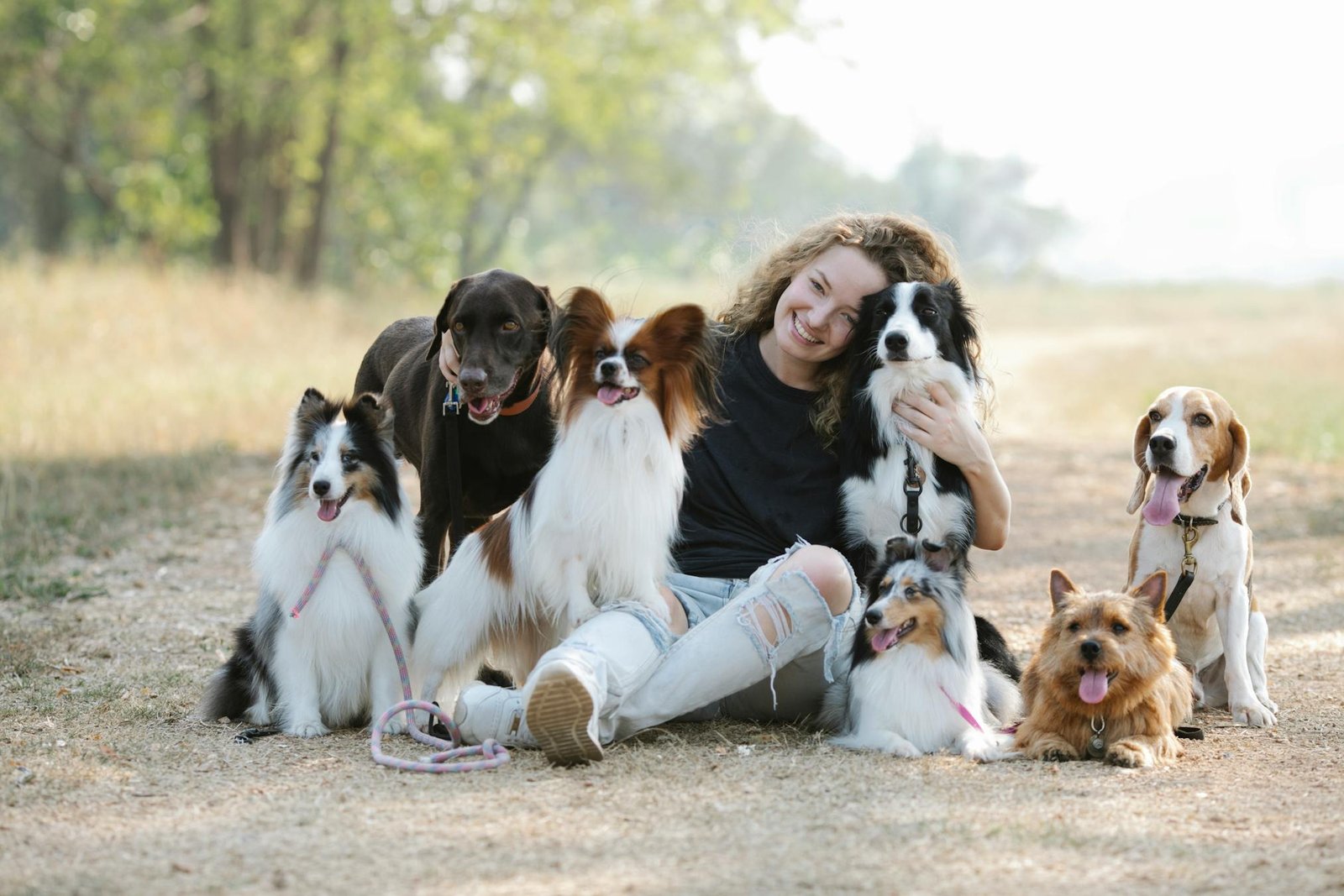 Mulher alegre sentada com várias raças de cães em parque ensolarado, celebrando a companhia e o cuidado animal