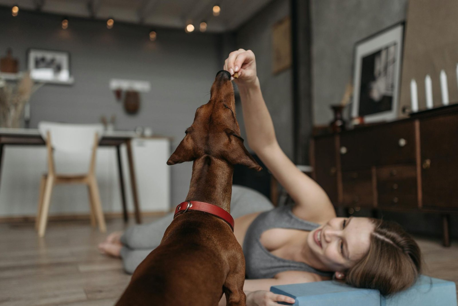 Mulher alimentando cachorro marrom em casa, momento aconchegante e feliz