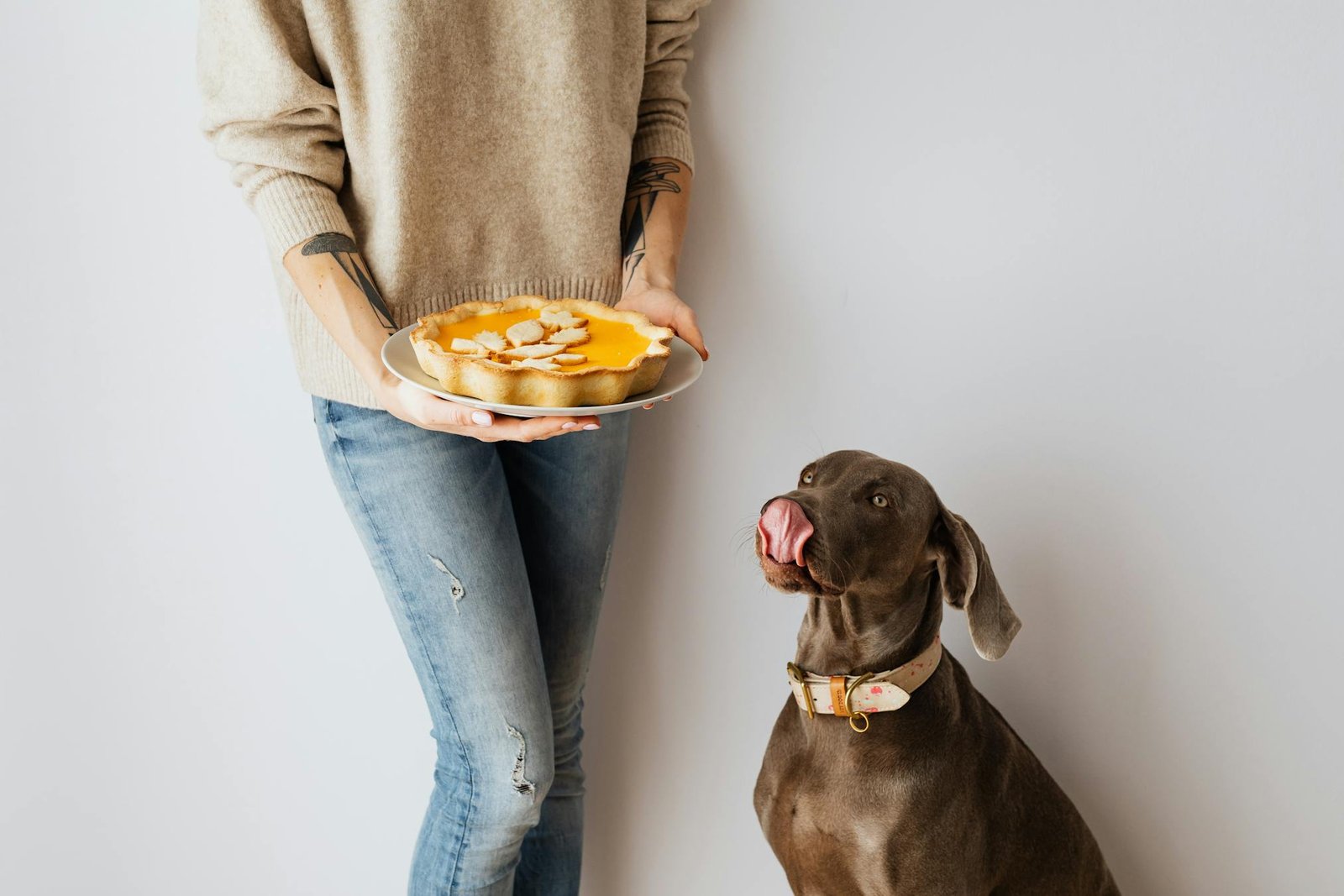 Mulher em roupa casual segurando torta de abóbora enquanto cachorro observa com desejo ambiente interno