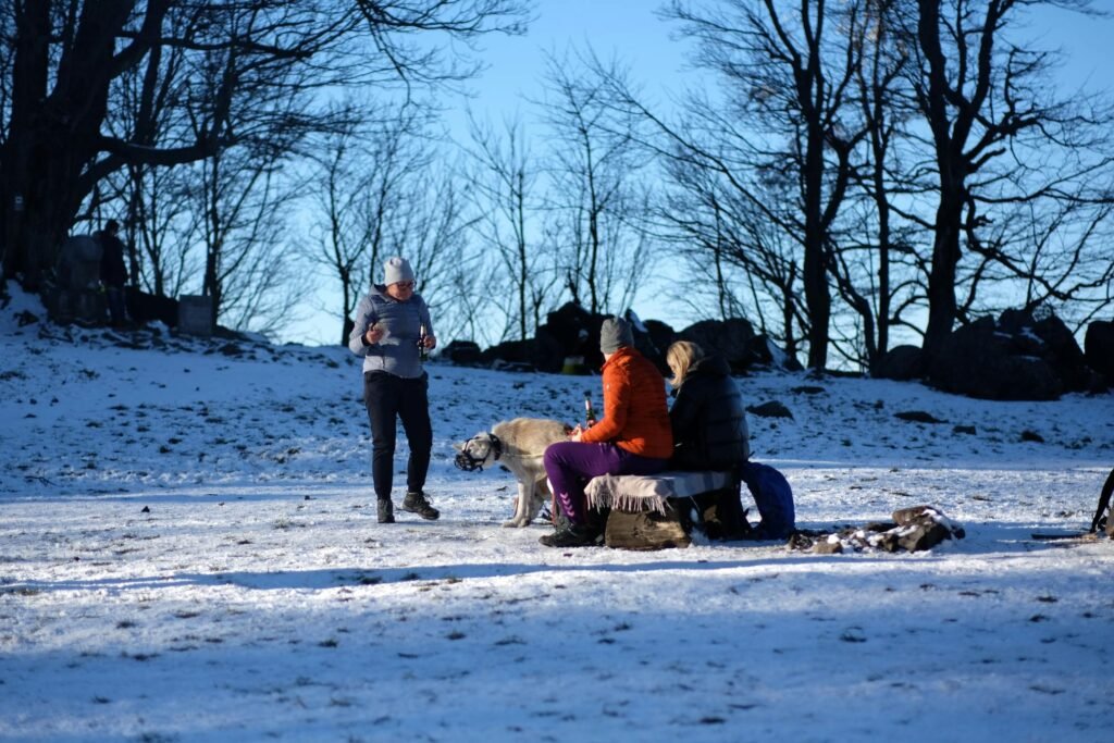 Grupo de adultos aproveitando um dia de neve em floresta com cachorro