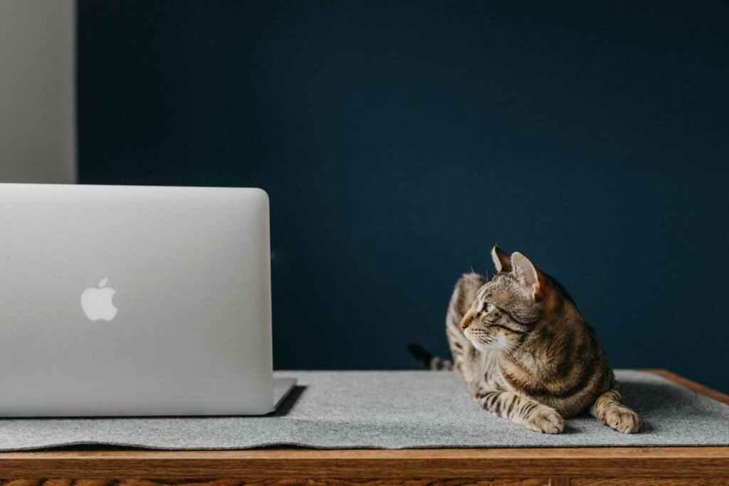 Gato tabby marrom sereno ao lado de laptop em mesa de madeira, ambiente de trabalho aconchegante
