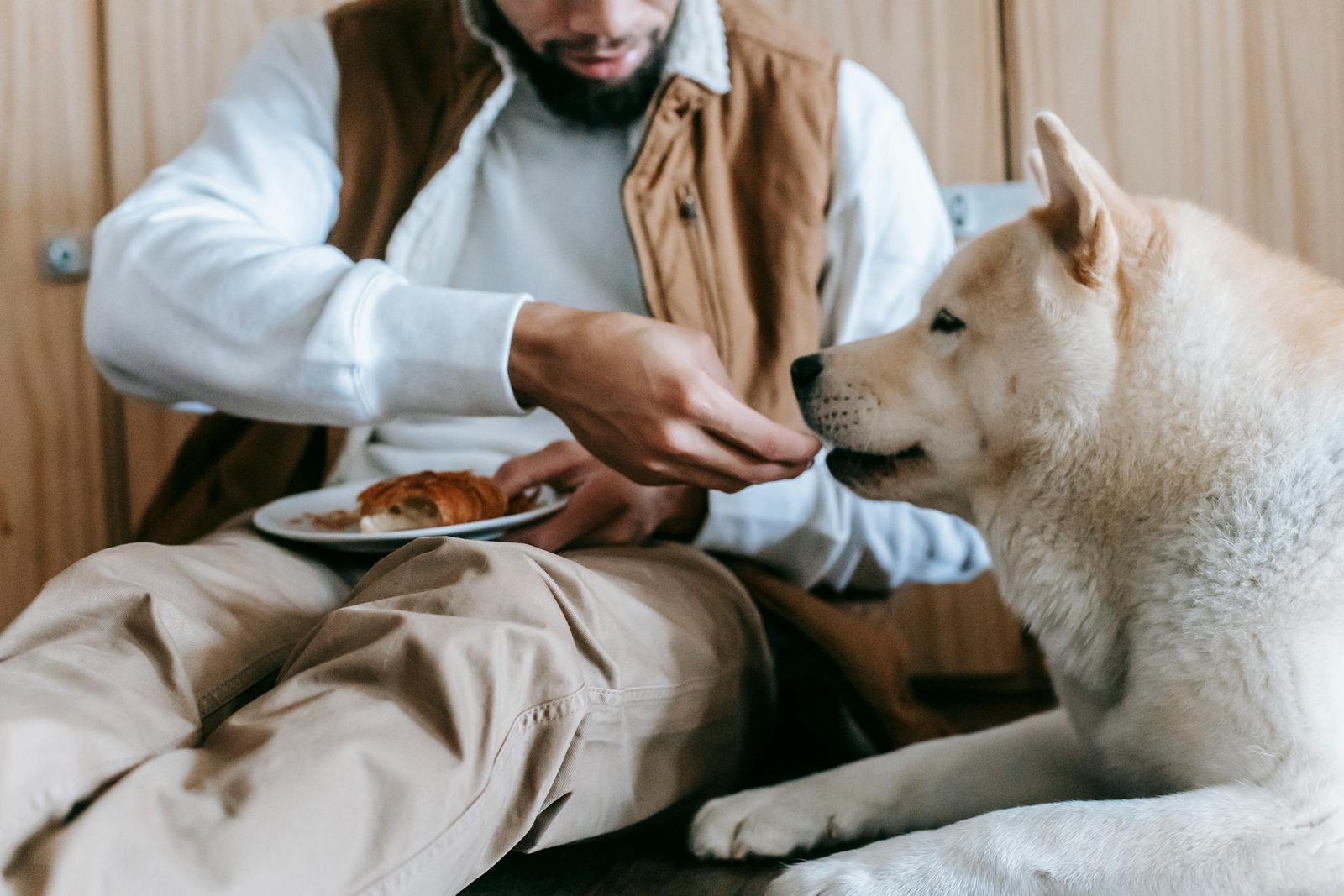 Homem alimentando seu cachorro com gesto amigável dentro de casa