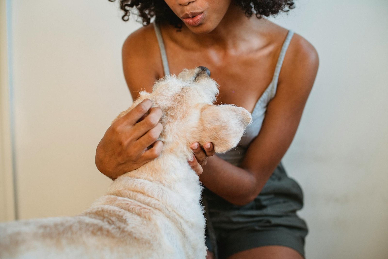 Mulher acariciando seu cachorro, momento afetuoso e acolhedor em ambiente interno